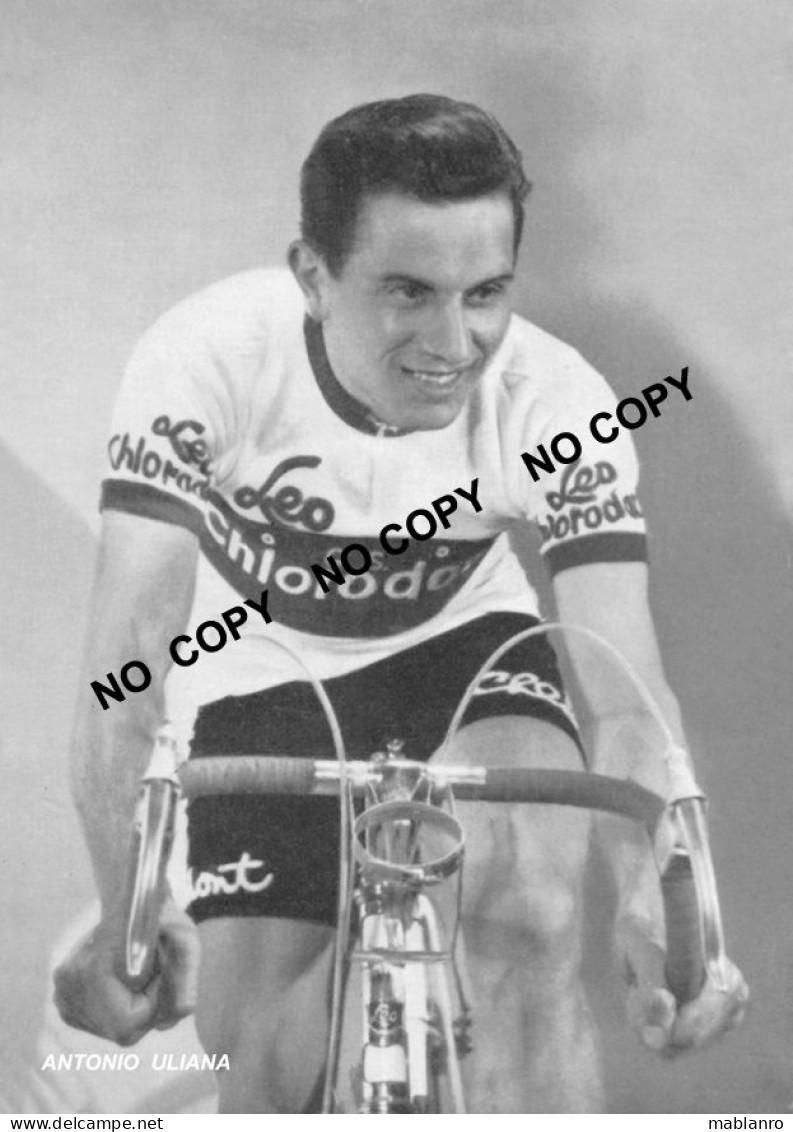 PHOTO CYCLISME REENFORCE GRAND QUALITÉ ( NO CARTE ), ANTONIO ULIANA TEAM LEO CHLORODONT 1955 - Wielrennen