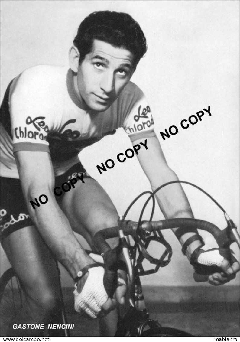 PHOTO CYCLISME REENFORCE GRAND QUALITÉ ( NO CARTE ), GASTONE NENCINI TEAM LEO CHLORODONT 1955 - Radsport