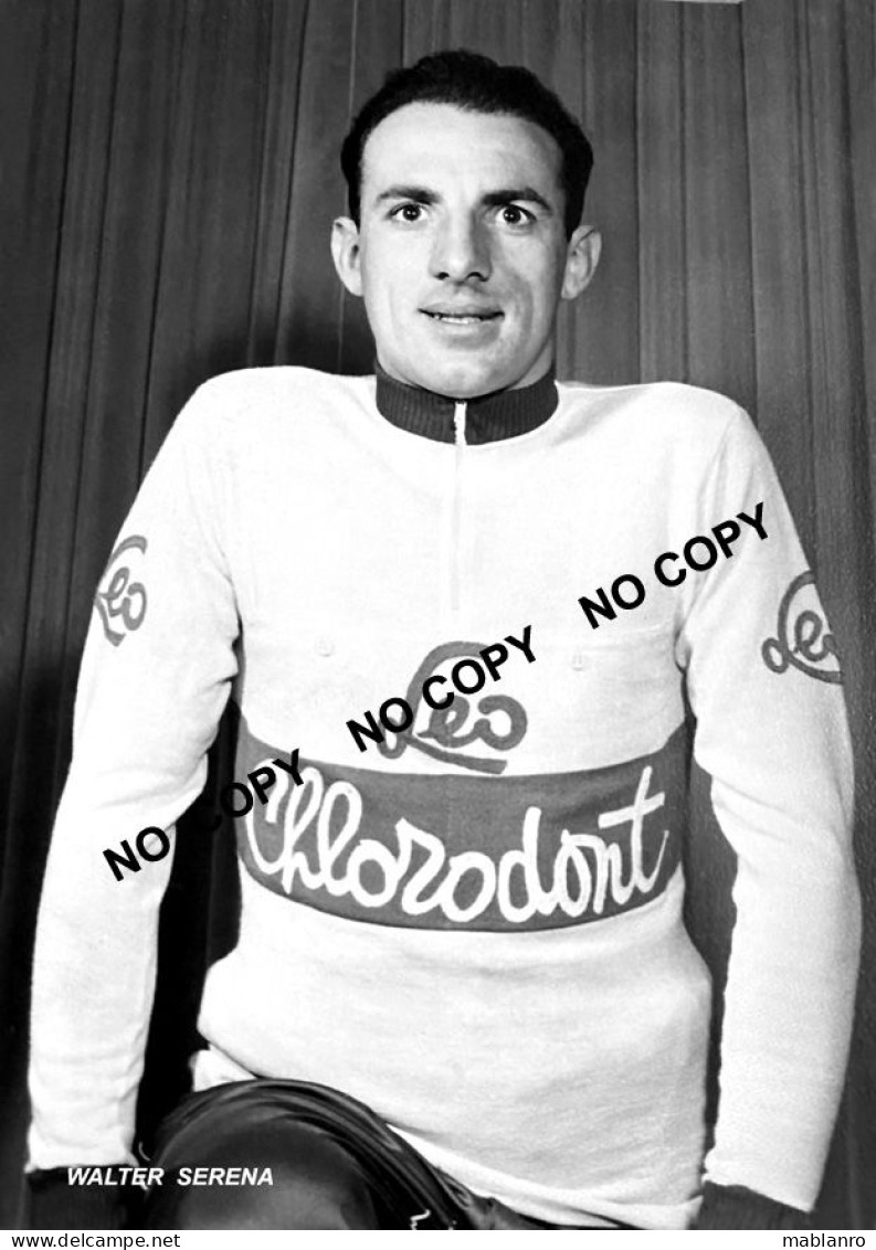 PHOTO CYCLISME REENFORCE GRAND QUALITÉ ( NO CARTE ), WALTER SERENA TEAM LEO CHLORODONT 1955 - Radsport