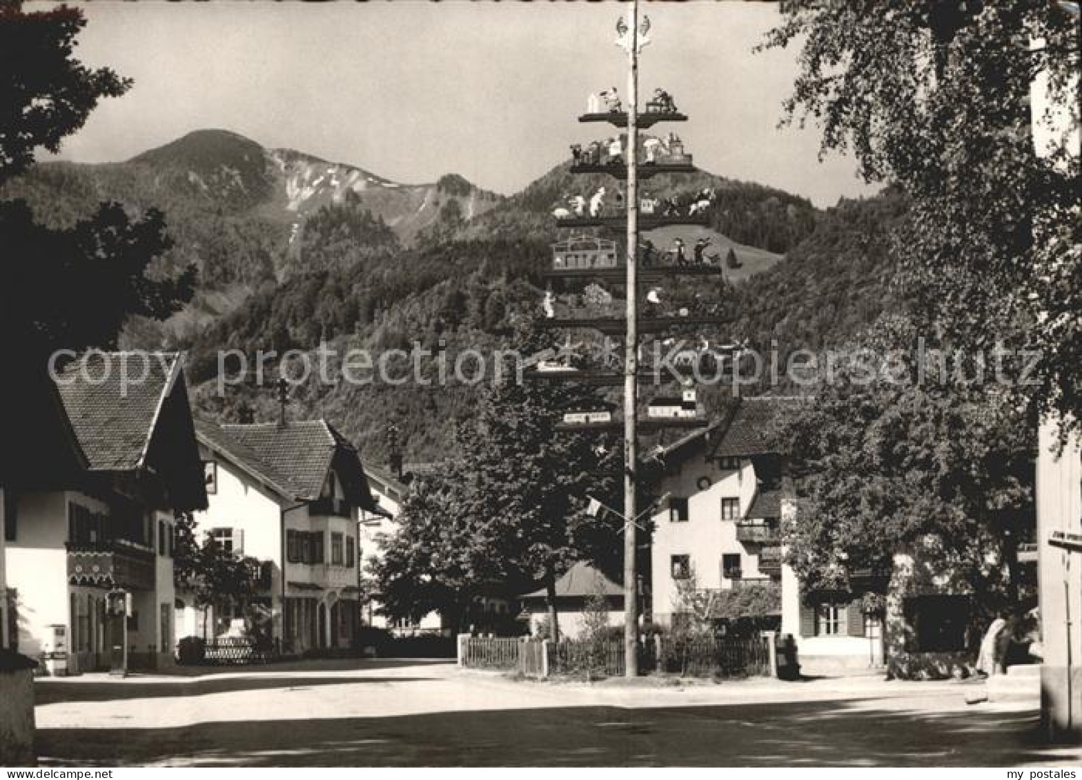 72201719 Grassau Chiemgau Dorfstrasse Mit Maibaum Grassau - Other & Unclassified