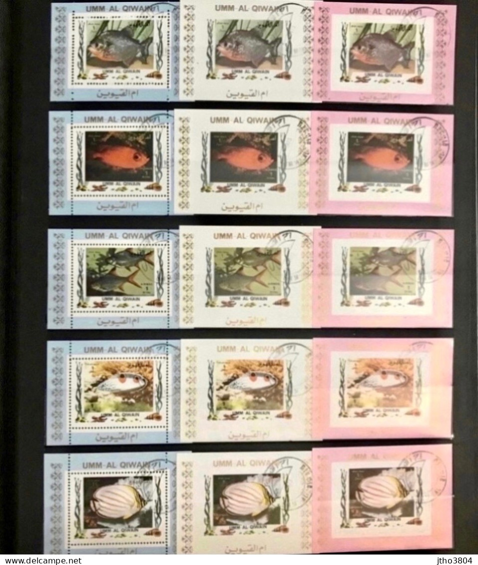 UMM AL QIWAIN 1973 1972 Complete 96v Used Rose Mi 1466 1481 B Bleu 1306 1321 Blanc Pez Fish Peixe Fisch Pesce Poisson - Peces