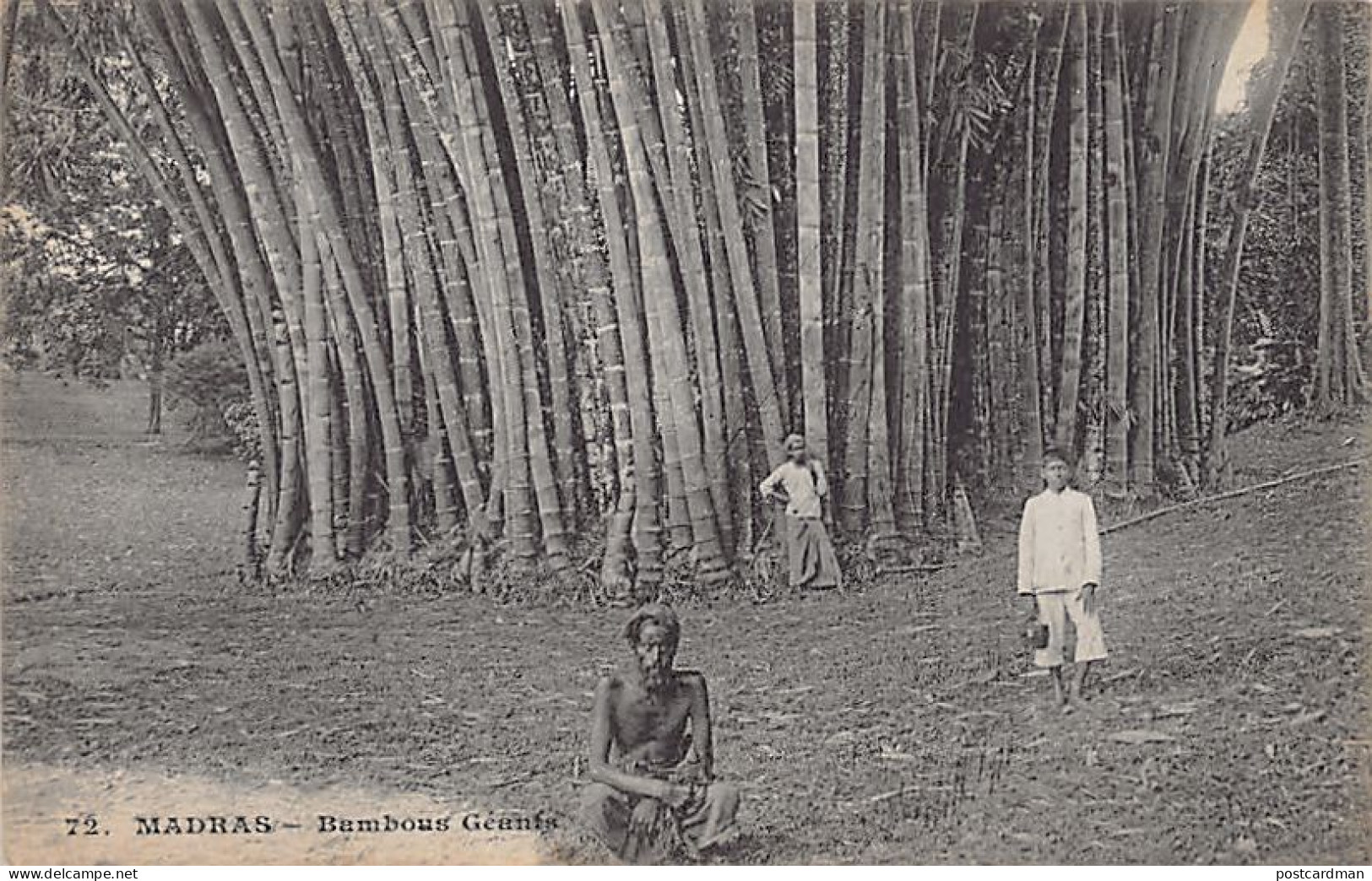 India - MADURAI - Giant Bamboos - Publ. Messageries Maritimes 72 - India