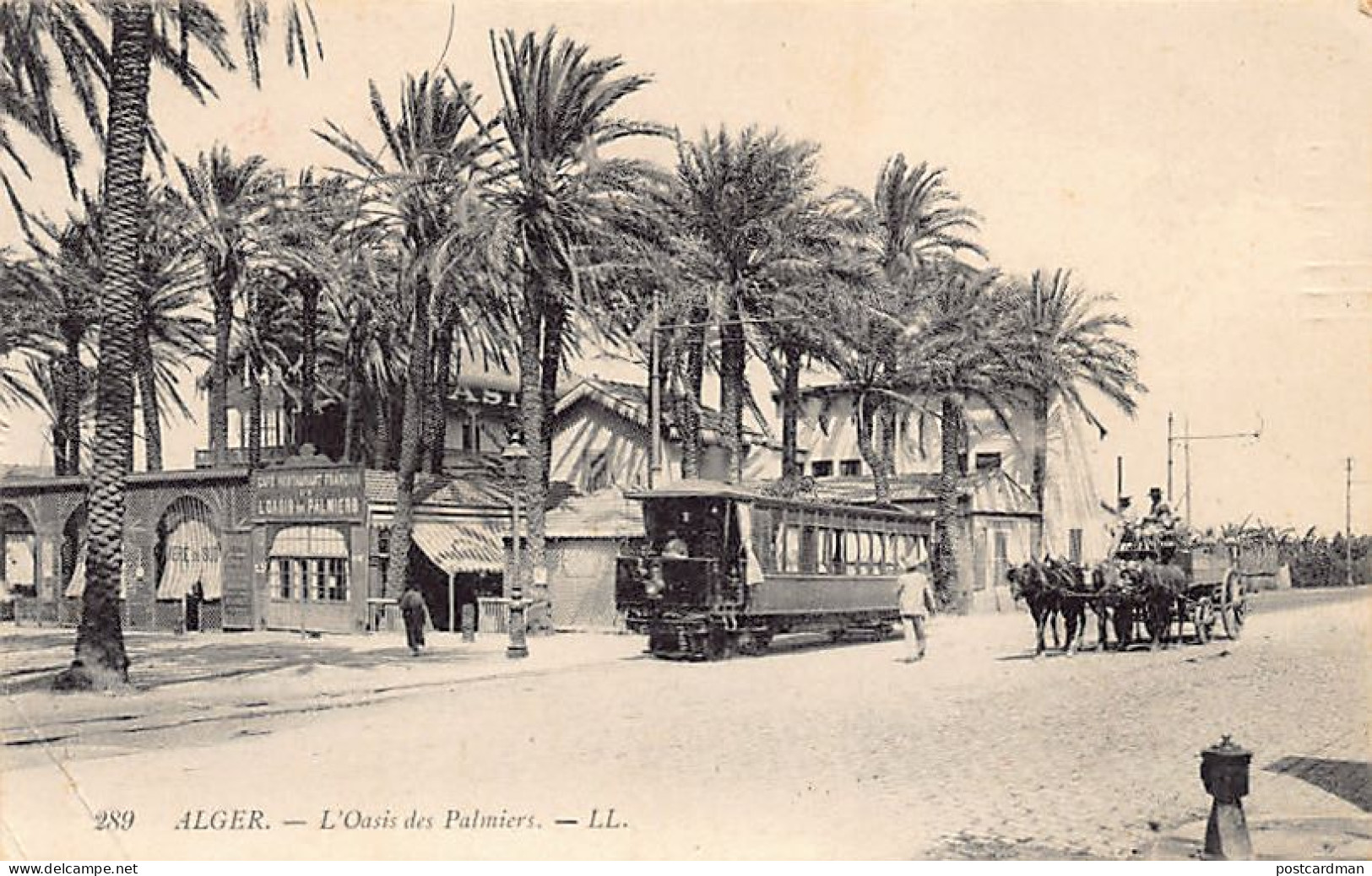 ALGER - L'Oasis Des Palmiers - Tramway - Ed. LL Lévy 289 - Algerien