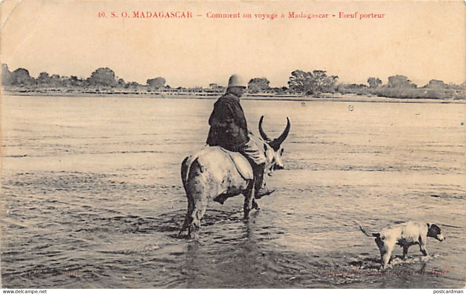 Madagascar - Comment On Voyage - Boeuf Porteur - Ed. G. Bodemer 40 - Madagascar