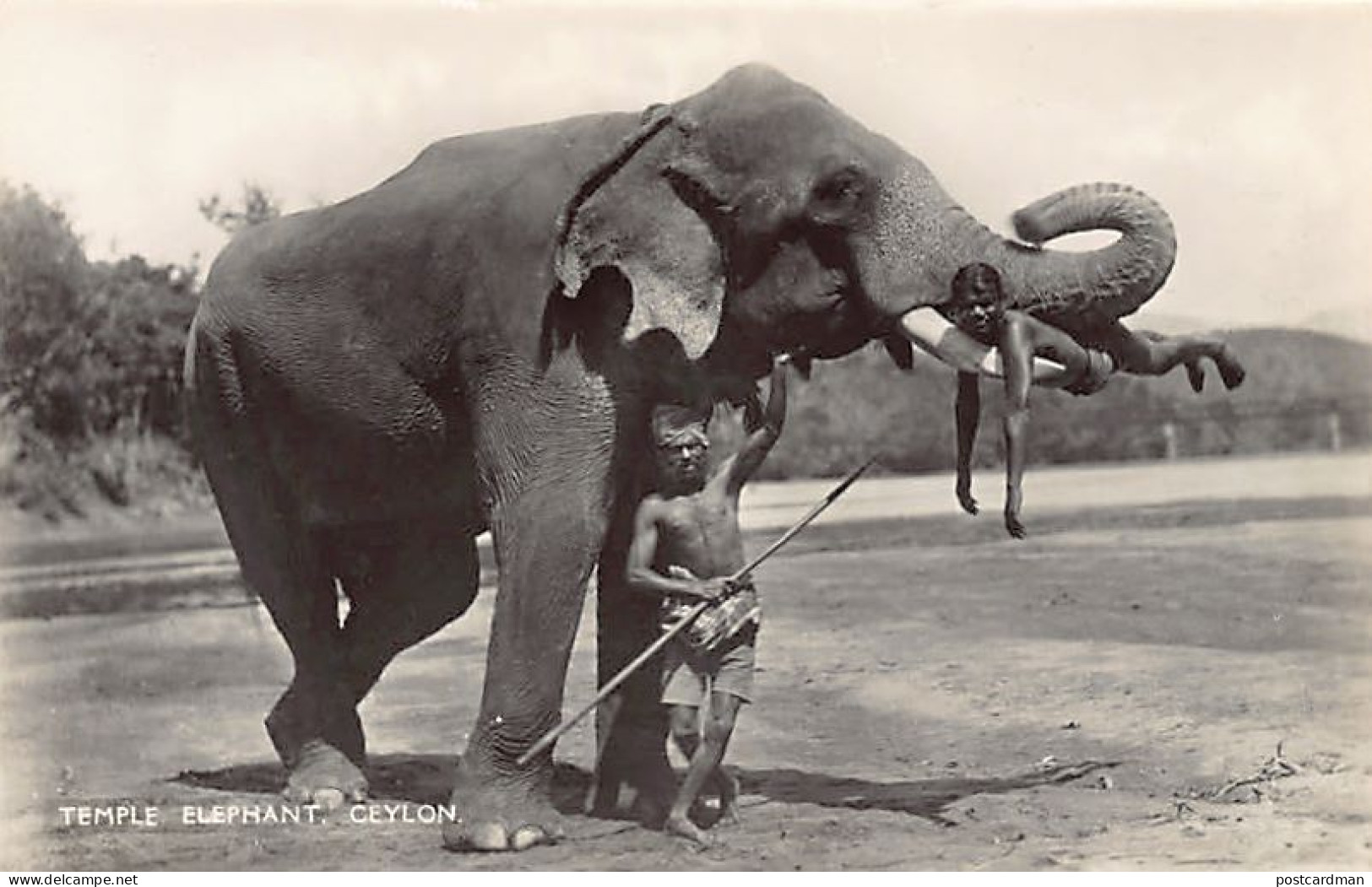 SRI LANKA - Temple Elephant - Publ. Plâté Ltd. 40 - Sri Lanka (Ceylon)