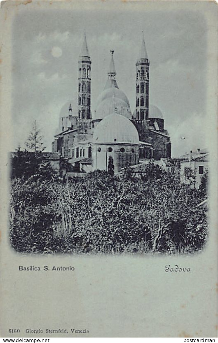 PADOVA - Basilica S. Antonio - Ed. G. Sternfeld - Padova (Padua)