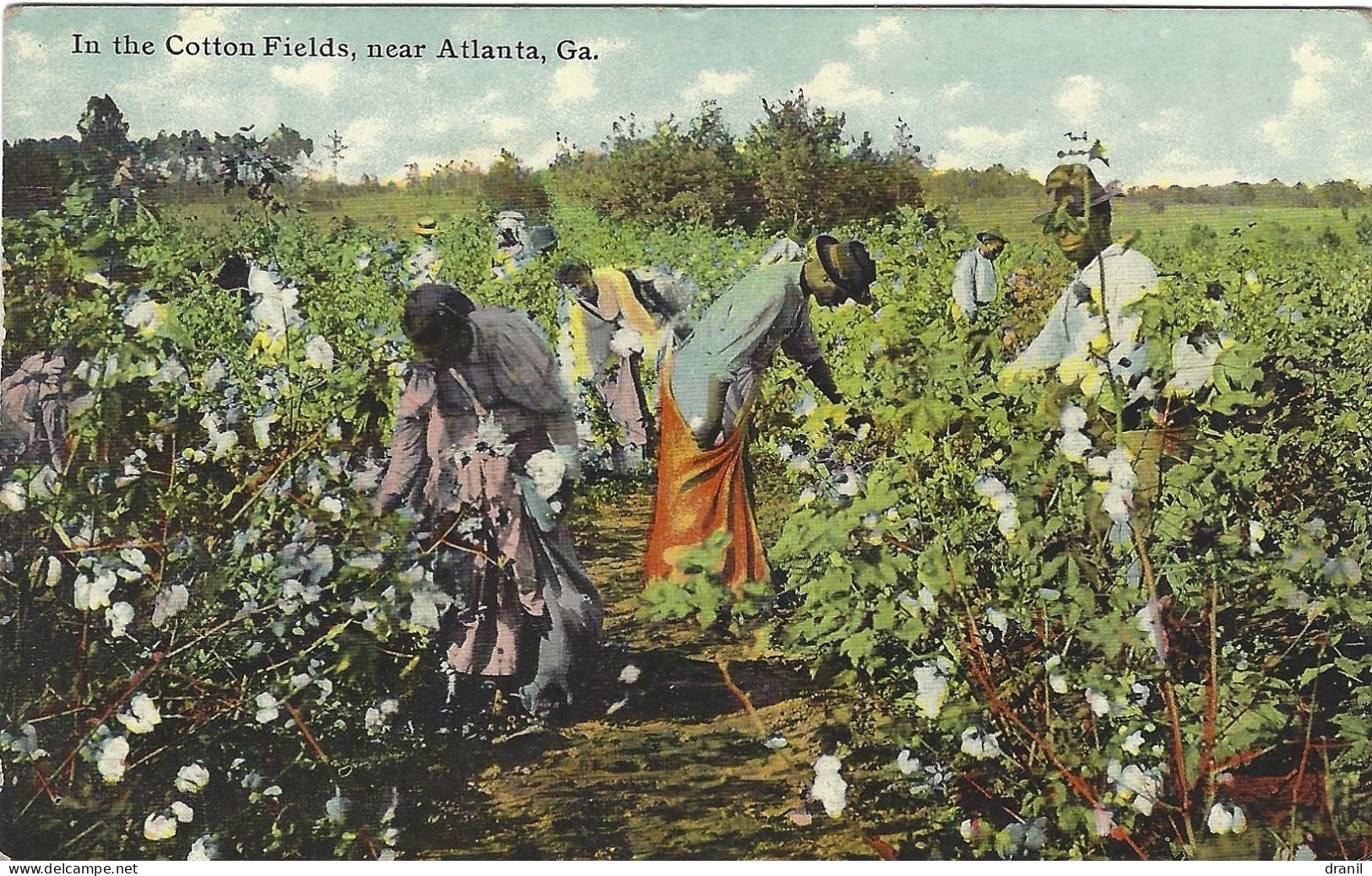 ETATS UNIS - In The Cotton Fields, Near Atlanta - Atlanta