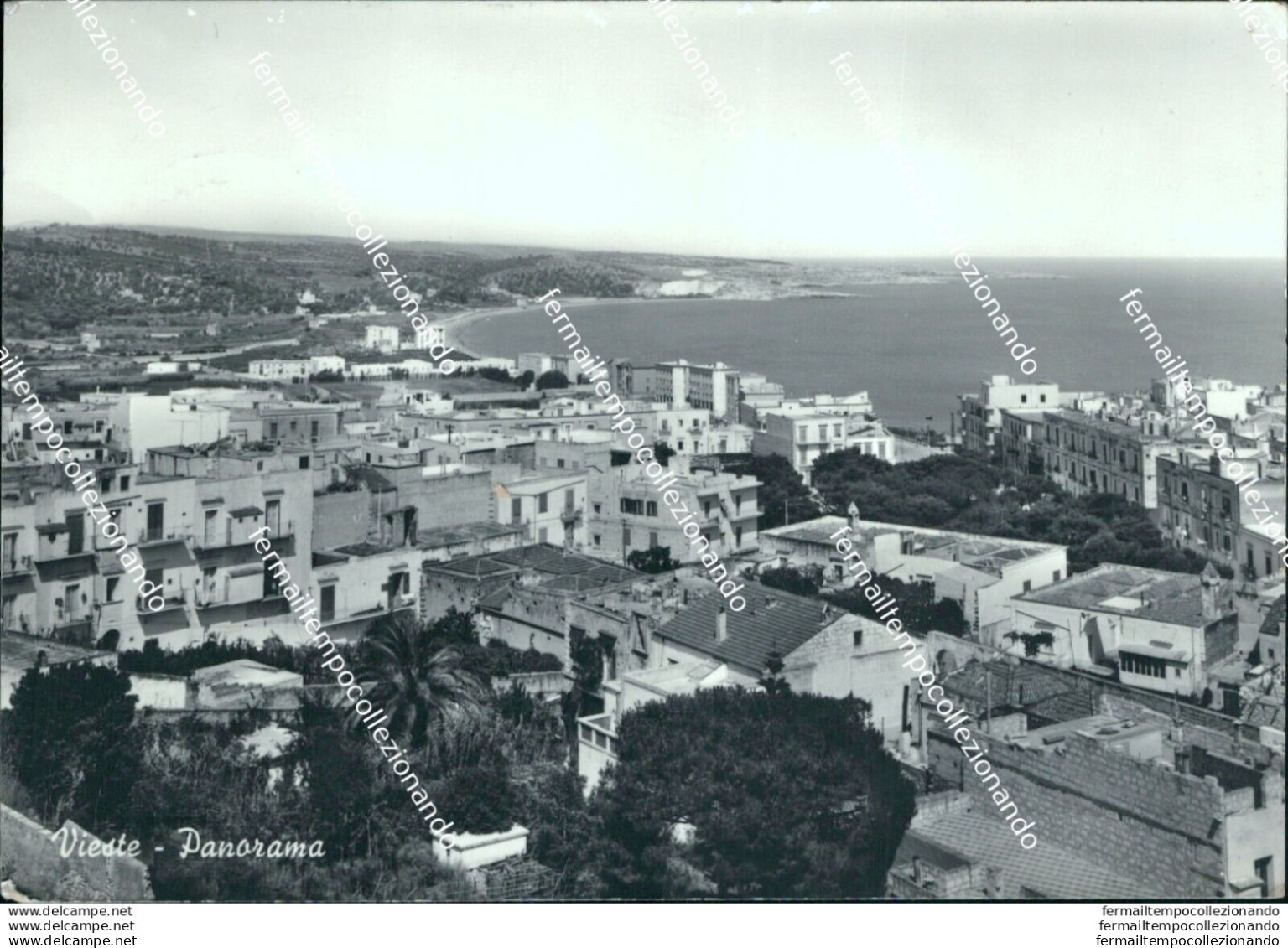 Bi514 Cartolina Vieste Panorama Provincia Di Foggia - Foggia