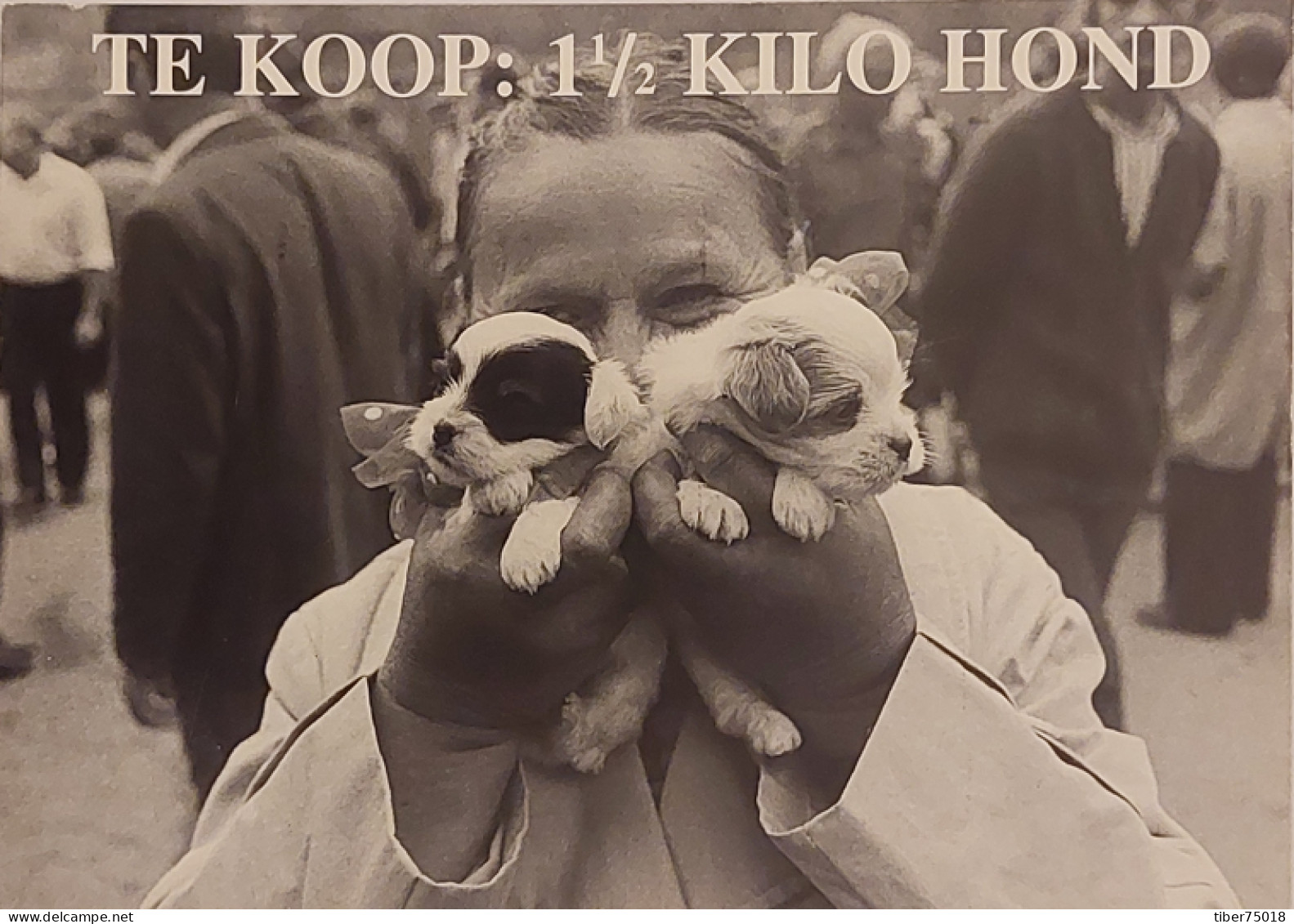Carte Postale - Te Koop : 1 1/2 Kilo Hond (femme Avec 2 Chiots) Sortez Le Chien De La Ferme Industrielle - Publicité