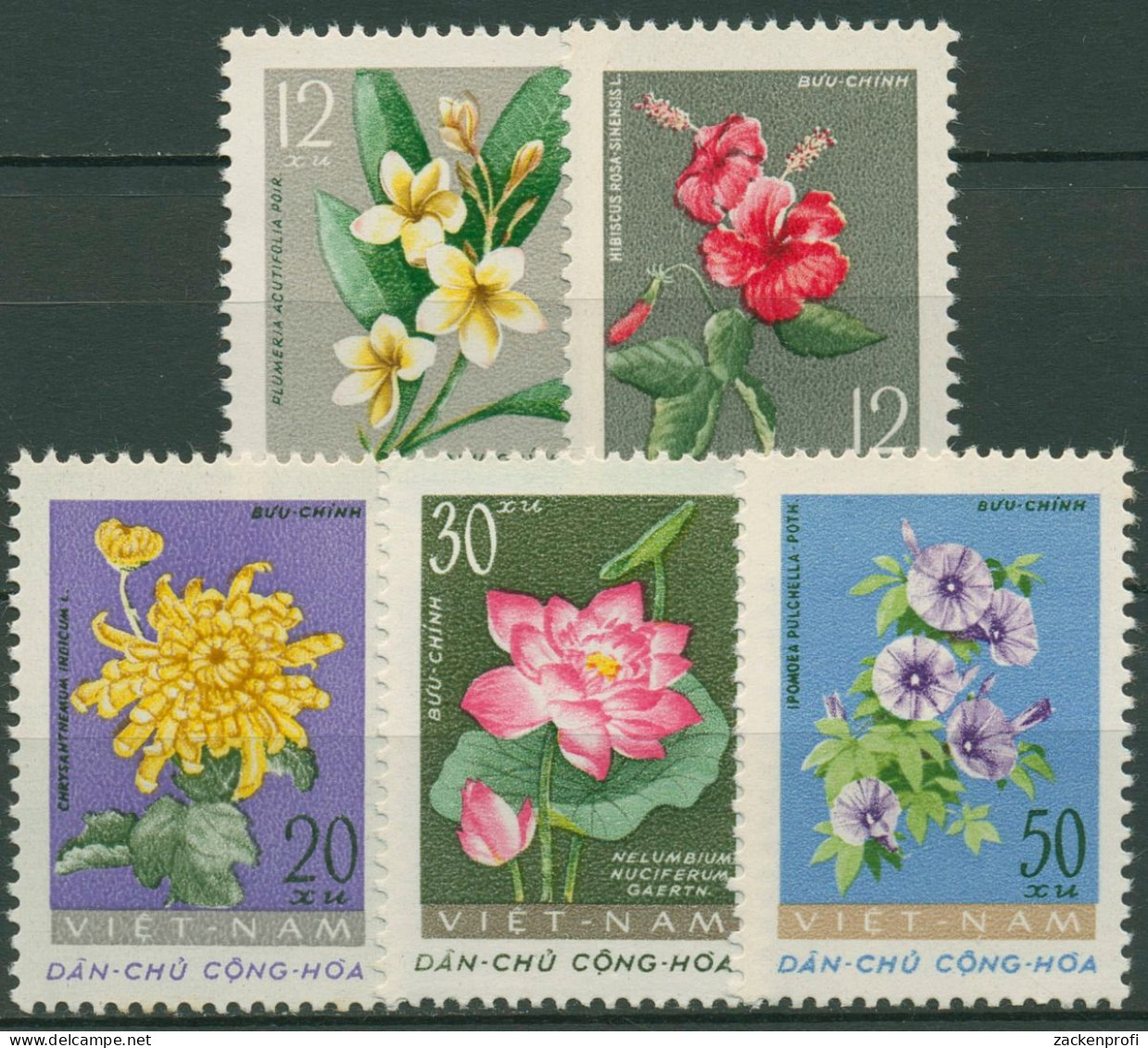 Vietnam-Nord 1962 Pflanzen Blüten 206/10 Ungebraucht O.G. - Vietnam