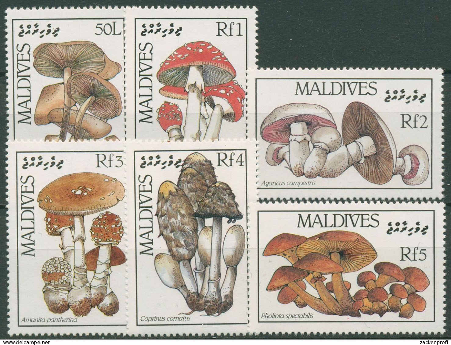 Malediven 1986 Pilze 1235/40 Postfrisch - Maldives (1965-...)