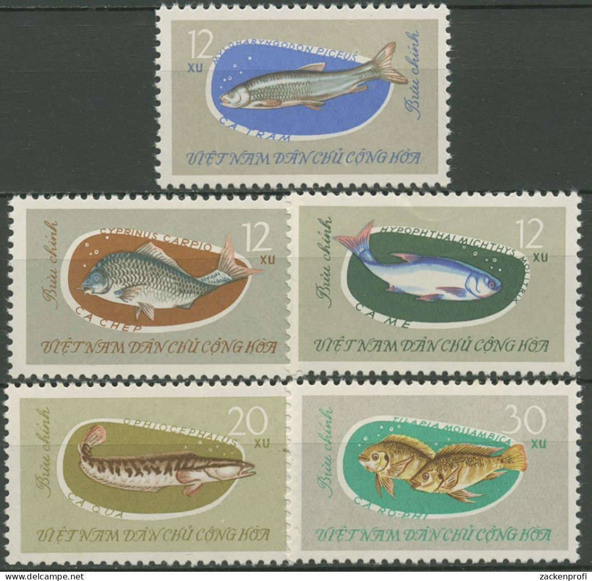 Vietnam 1963 Tiere Fische 270/74 Ungebraucht O.G., Kleine Mängel - Viêt-Nam