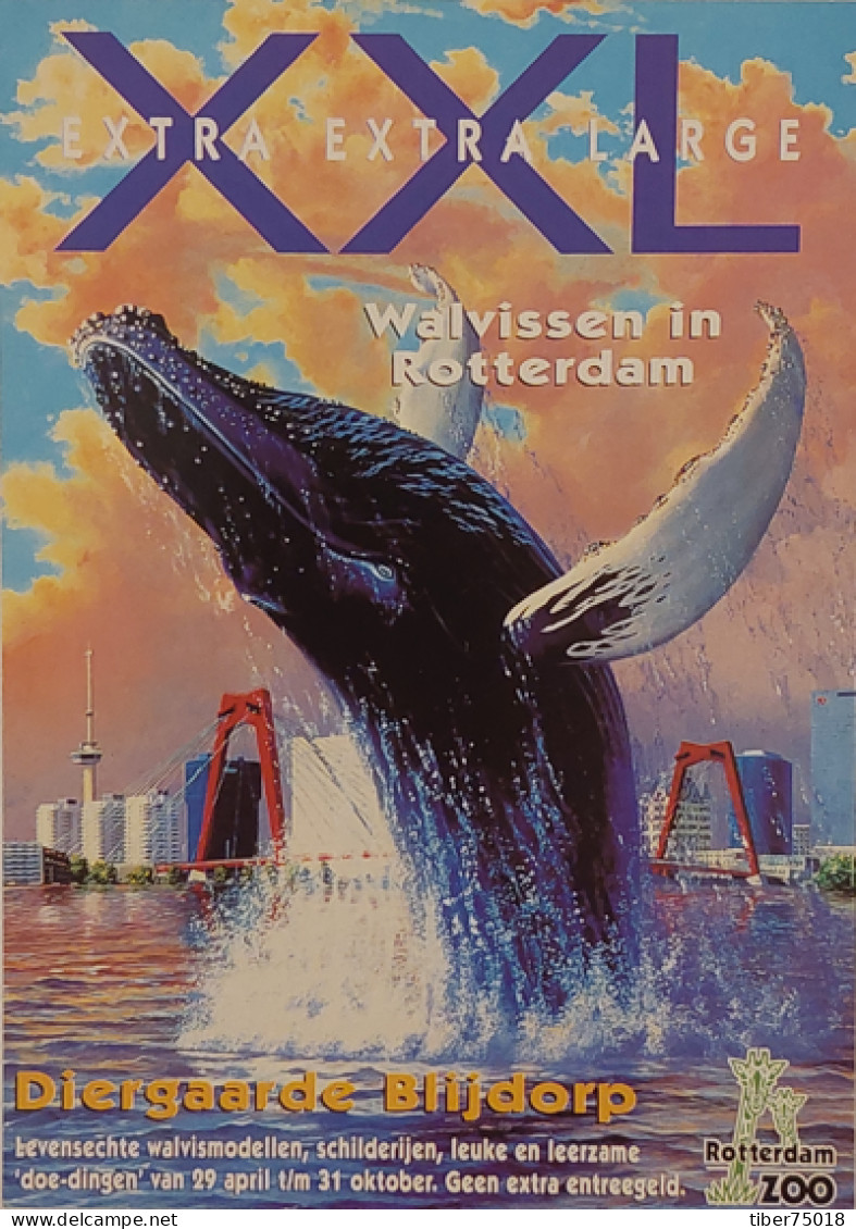 Carte Postale - XXL Extra Extra Large (baleine) Walvissen In Rotterdam - Publicité