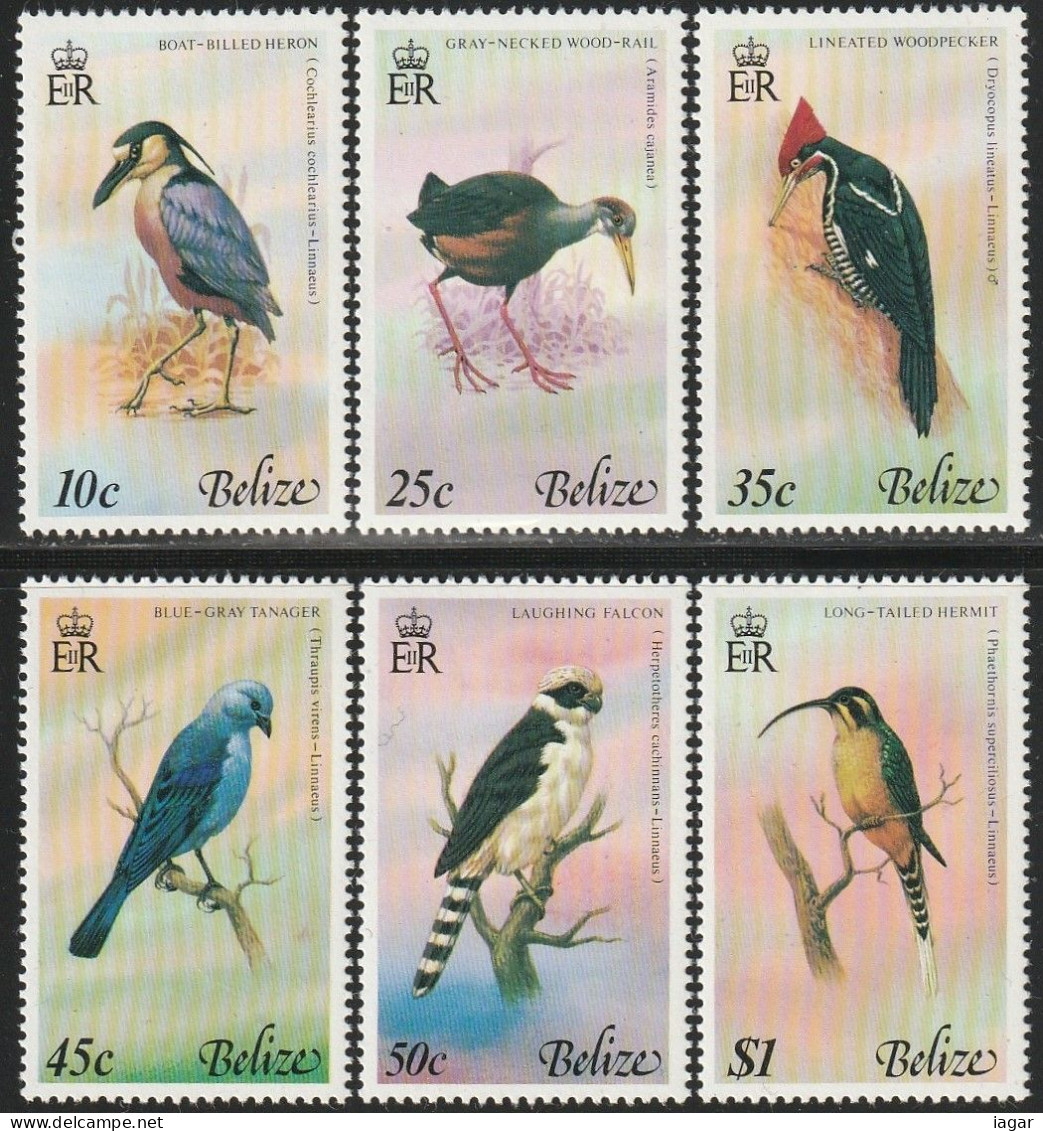 THEMATIC FAUNA:  BIRDS OF BELIZE  (3rd Series)  BOAT-BILLED HERON, LINEATEDWOODPECKER, LAUGHING FALCON  ETC    -  BELIZE - Autres & Non Classés