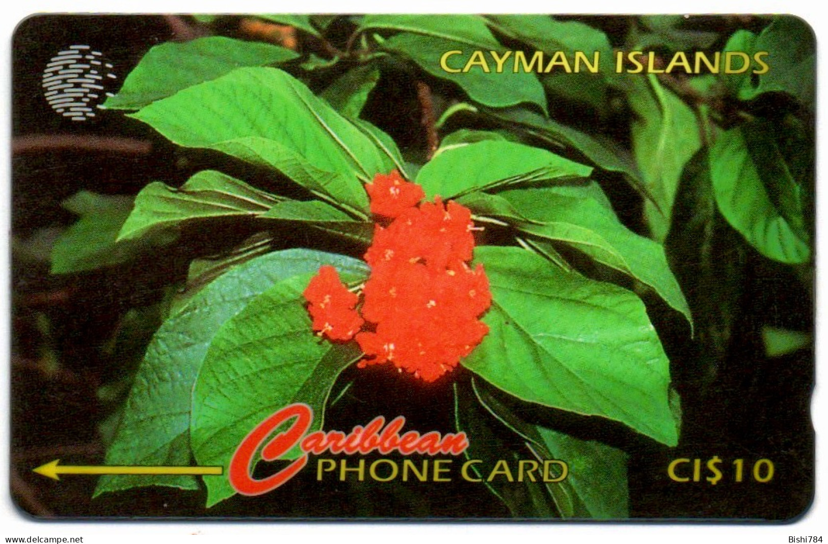 Cayman Islands - Broadleaf Flower - 94CCIB (with Ø) - Kaimaninseln (Cayman I.)