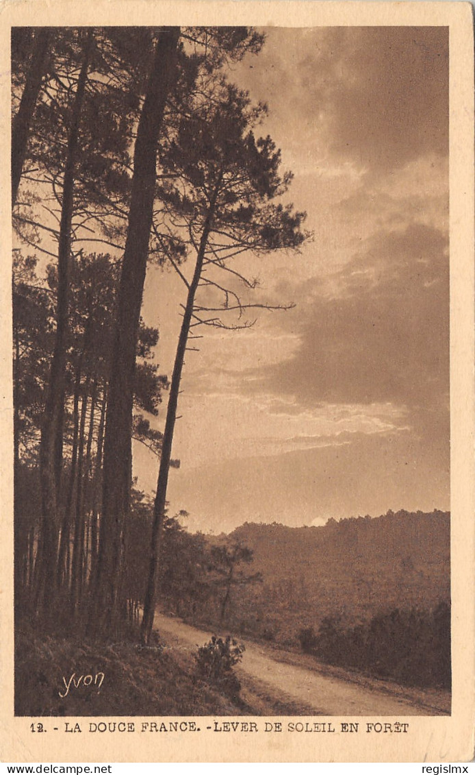 40-FORET DES LANDES-N°364-G/0007 - Altri & Non Classificati