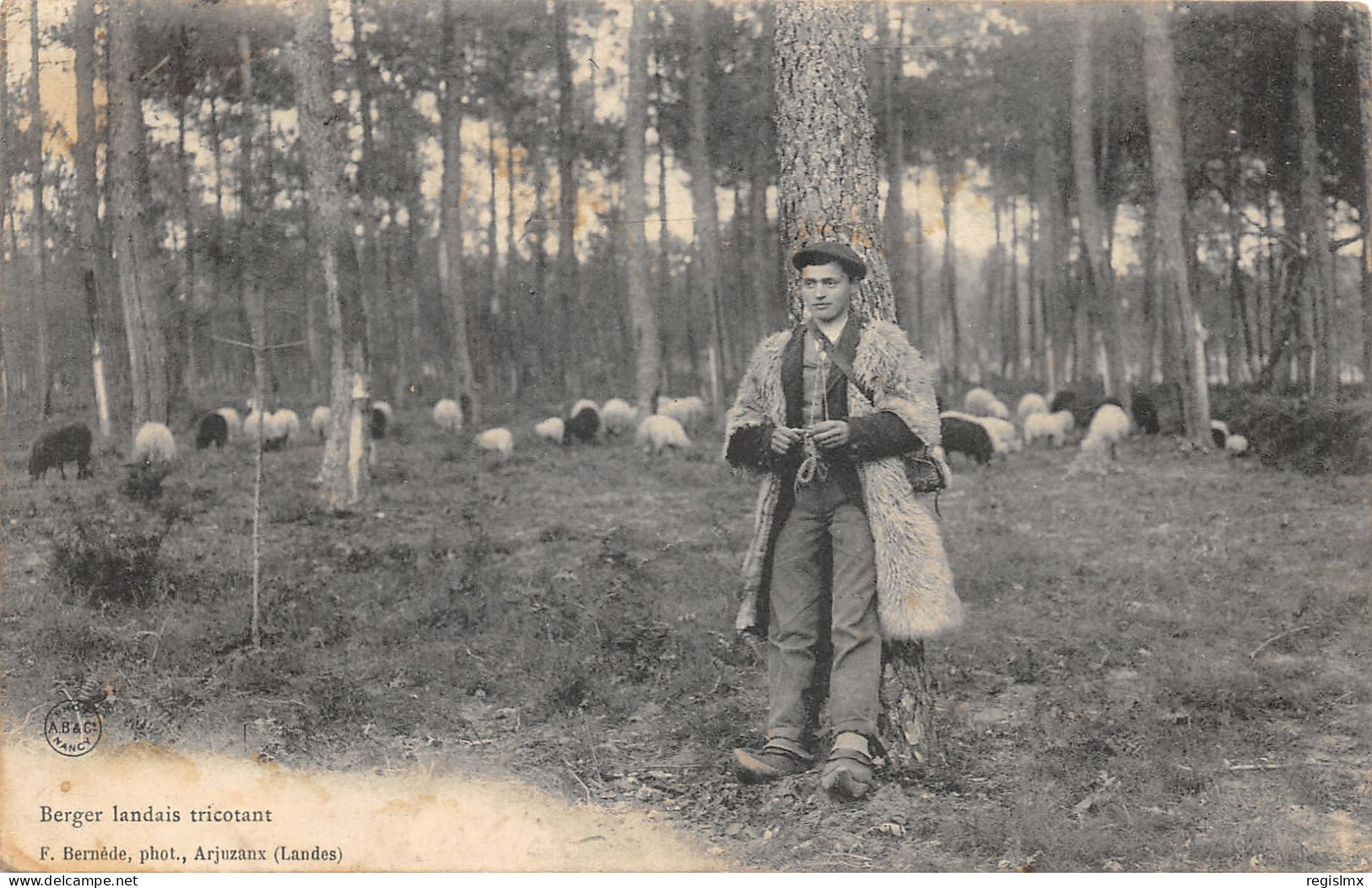 40-FOLKLORE LANDAIS-BERGER LANDAIS-N°364-F/0287 - Sonstige & Ohne Zuordnung