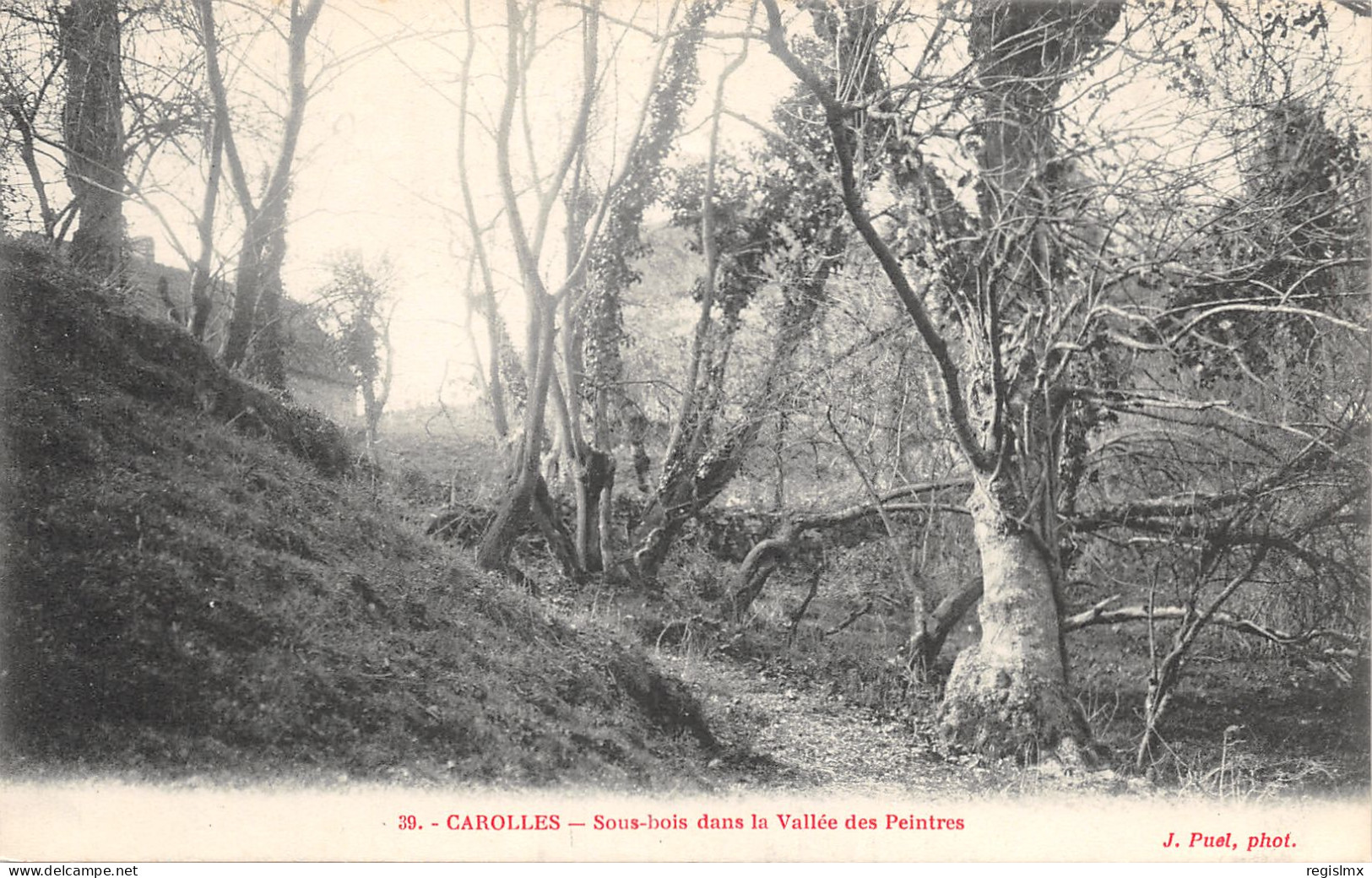 50-CAROLLES-N°366-E/0263 - Andere & Zonder Classificatie