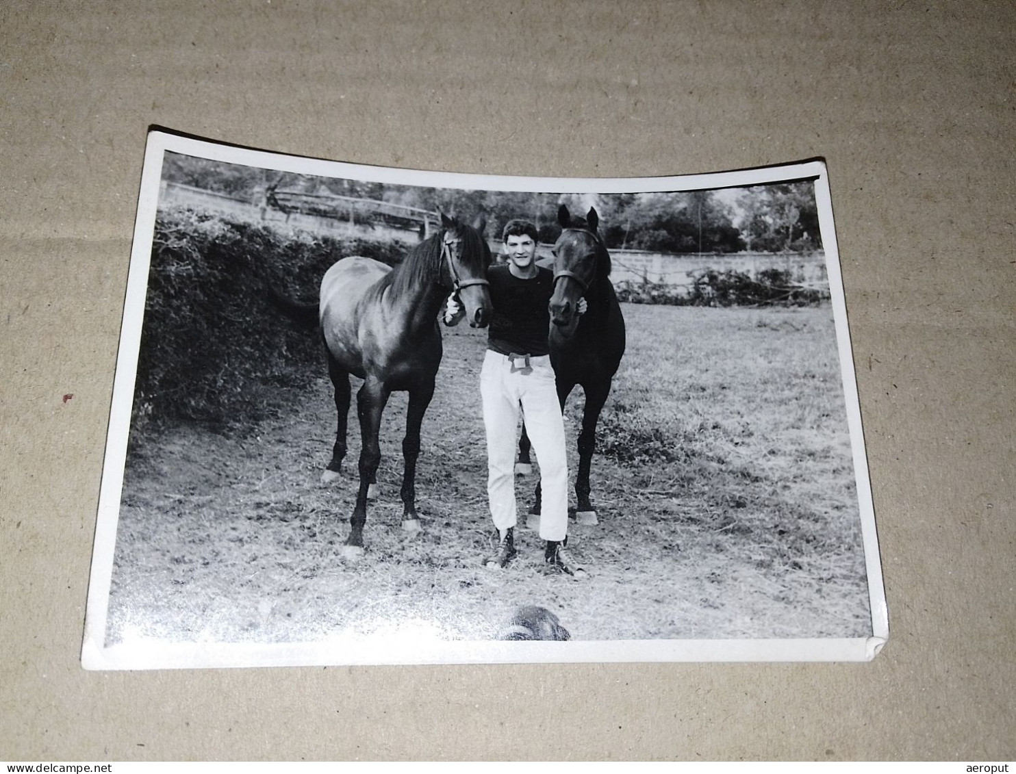 Photo Ancienne, Beau Jeune Homme Tenant Deux Chevaux Noirs, Gay Int, Années 1950 - Zonder Classificatie