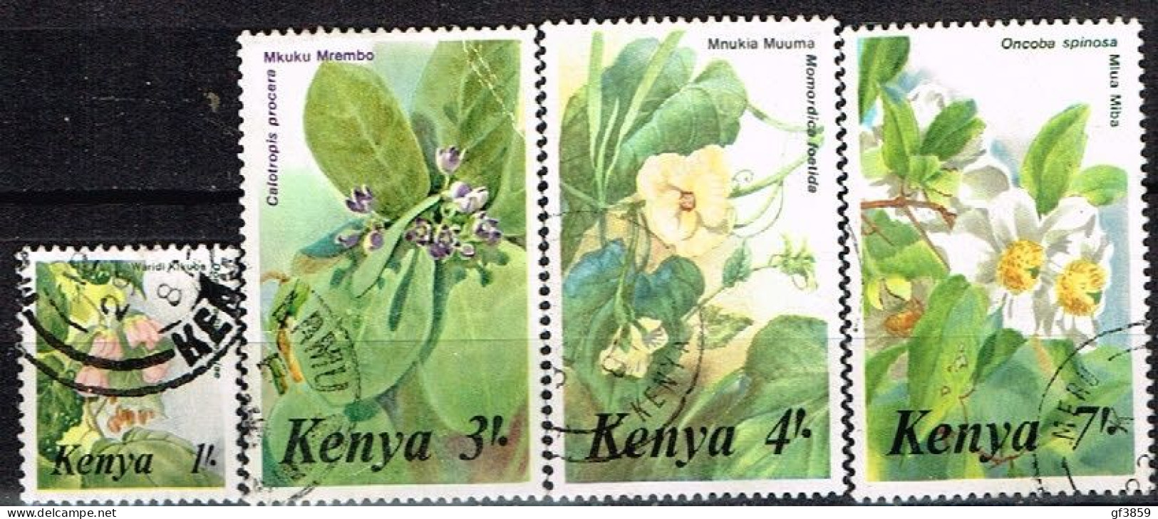KENYA / Oblitérés / Used / 1985 - Série Courante / Fleurs - Kenia (1963-...)