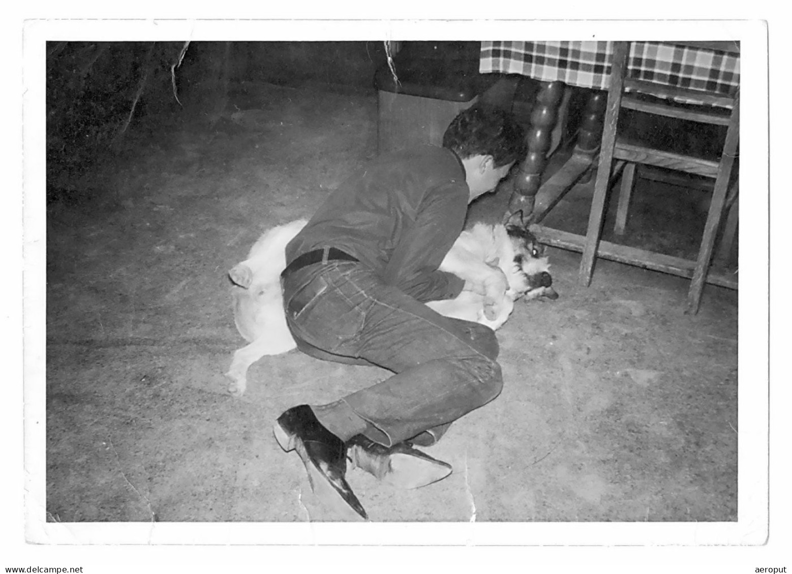 Photo Ancienne, Jeune Homme Joue Avec Son Chien Allongé Sur Le Sol D'une Taverne, Années 1970 - Ohne Zuordnung