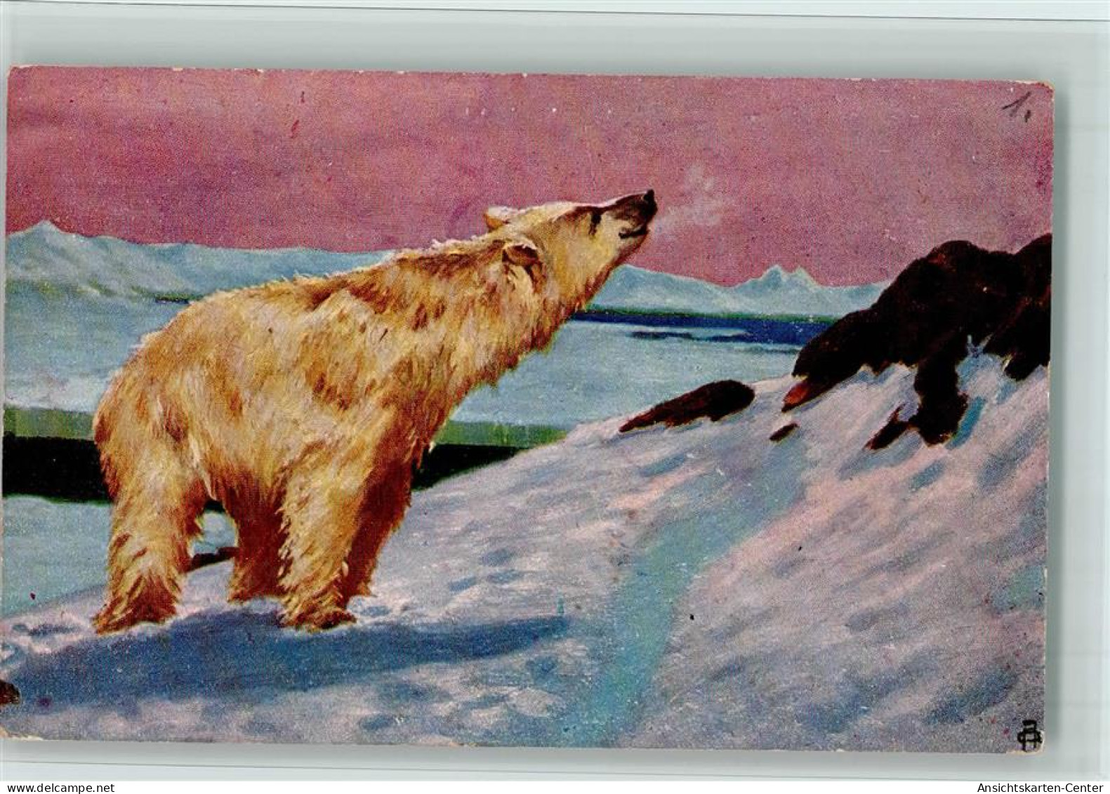 13062611 - Baeren Eisbaer - Kuenstlerkarte AK - Bären