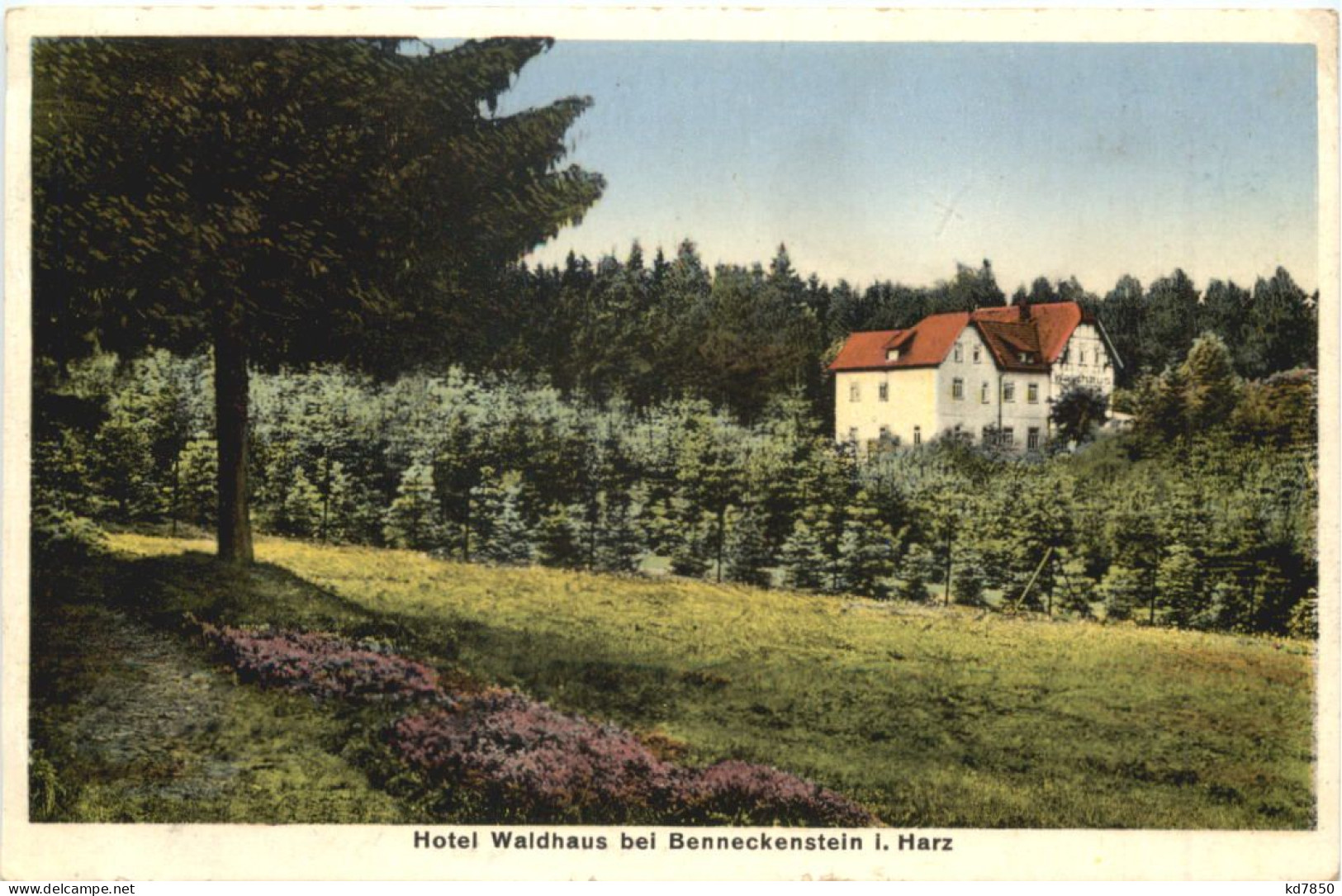 Hotel Waldhaus Bei Benneckenstein - Sonstige & Ohne Zuordnung