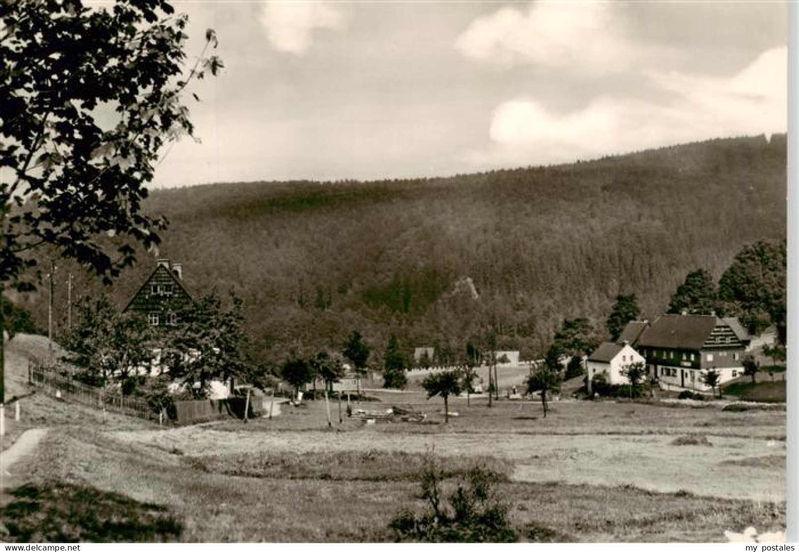 73906435 Holzhau Erzgebirge Rechenberg-Bienenmuehle Panorama - Rechenberg-Bienenmühle