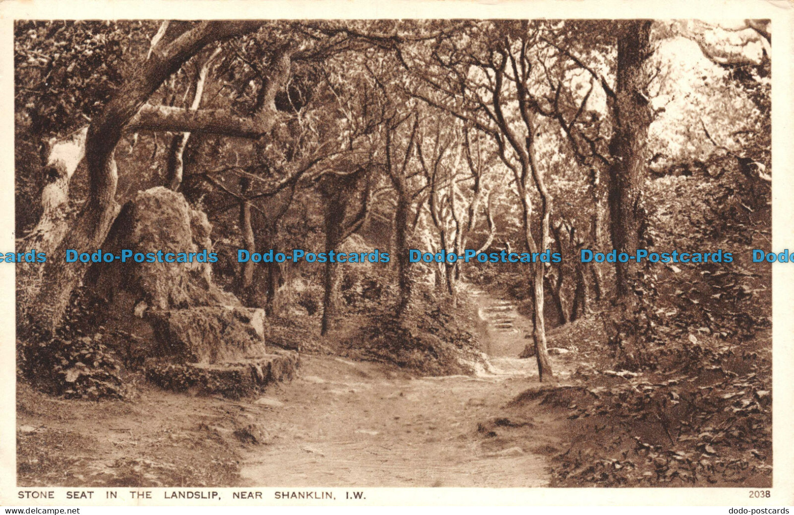 R110786 Stone Seat In The Landslip. Near Shanklin. I. W. Nigh. No 2038. B. Hopki - Welt