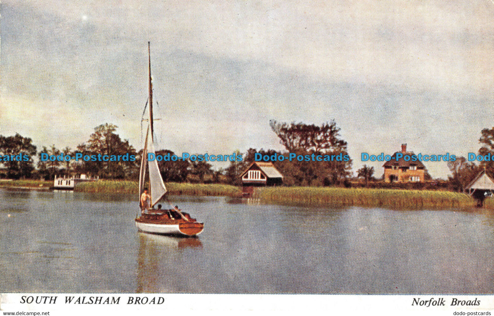 R110809 South Walsham Broad. Norfolk Broads. Salmon. B. Hopkins - Welt