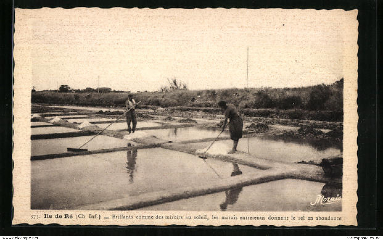 CPA Ile-de-Ré, Brillants Comme Des Miroirs Au Soleil, Saline  - Ile De Ré