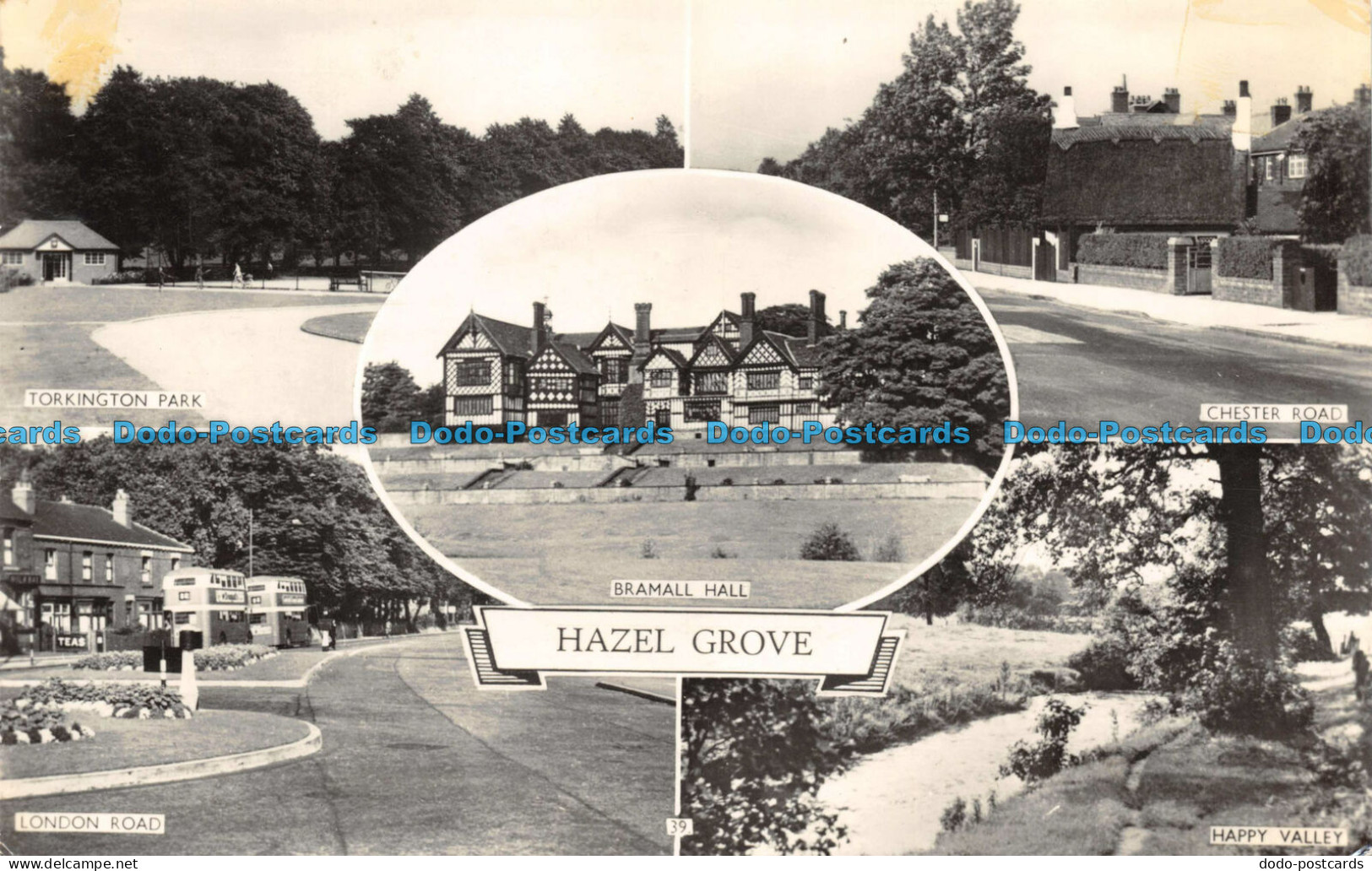R112516 Hazel Grove. Multi View. Lilywhite. RP. 1964 - Monde