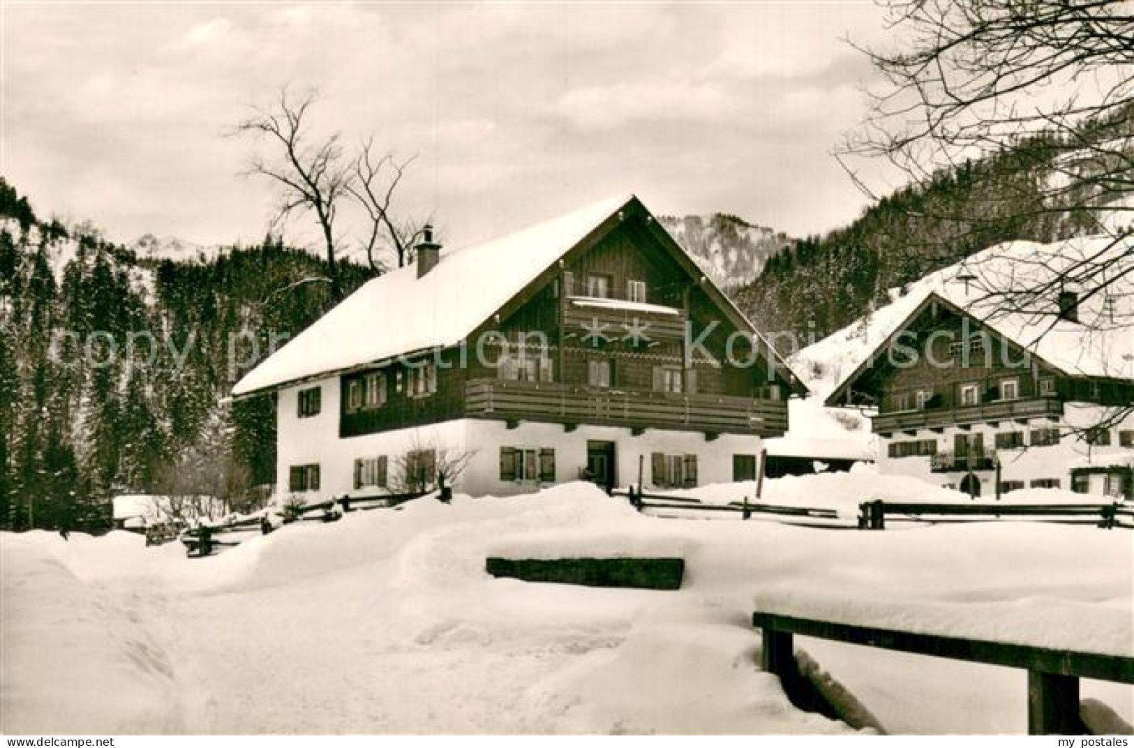 73759548 Weissbach Alpenstrasse Zum Ederbauern Winter Schnee Weissbach Alpenstra - Sonstige & Ohne Zuordnung