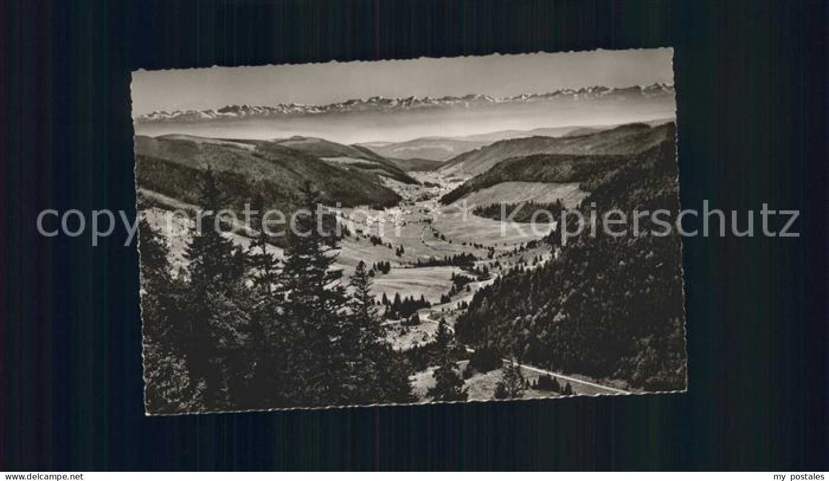 72198764 Feldberg Schwarzwald Blick Zu Den Schweizer Alpen Feldberg - Feldberg