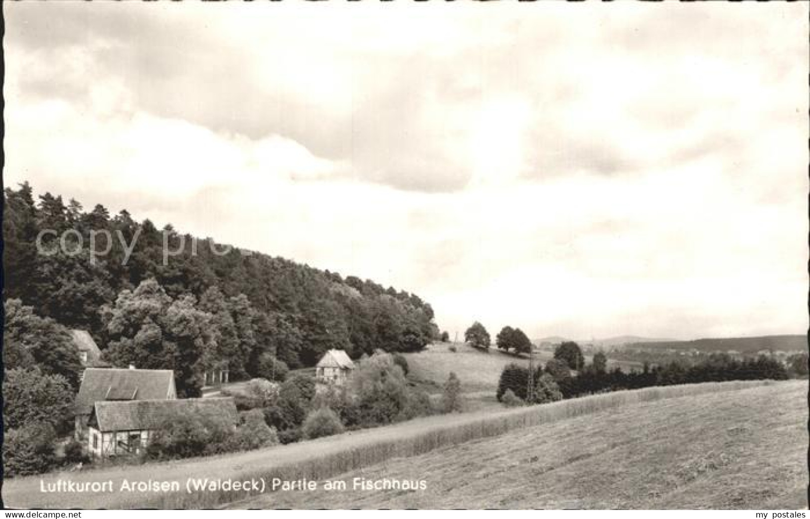 72198125 Arolsen Bad Partie Am Fischhaus Arolsen - Bad Arolsen