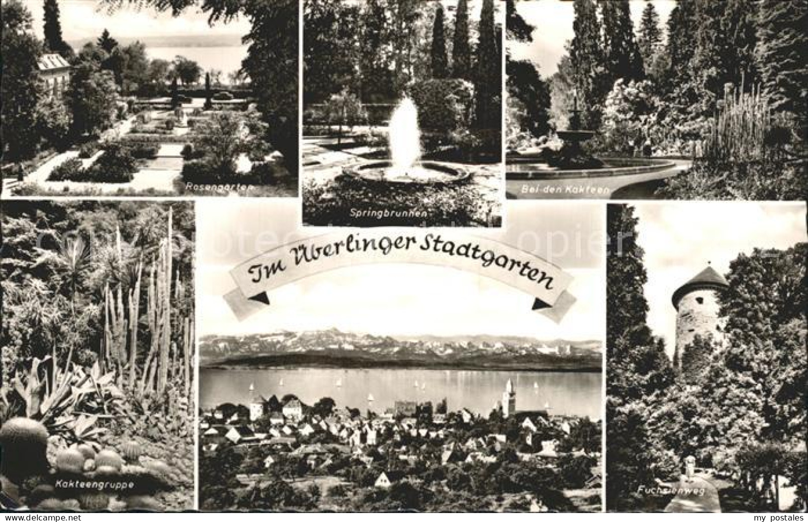 72194622 Ueberlingen Bodensee Rosengarten Springbrunnen Kakteengruppe Stadtblick - Überlingen