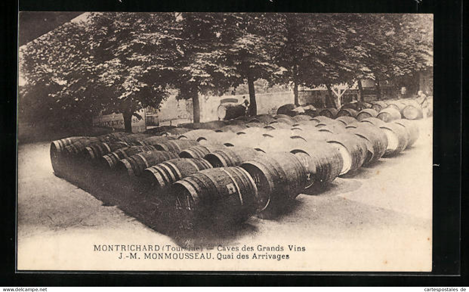 CPA Montrichard, Caves Des Grands Vins  - Montrichard