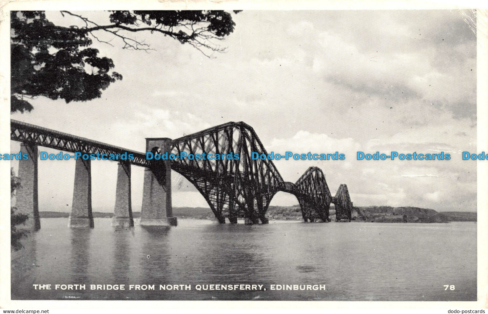 R111549 The Forth Bridge From North Queensferry. Edinburgh. 1958 - Welt