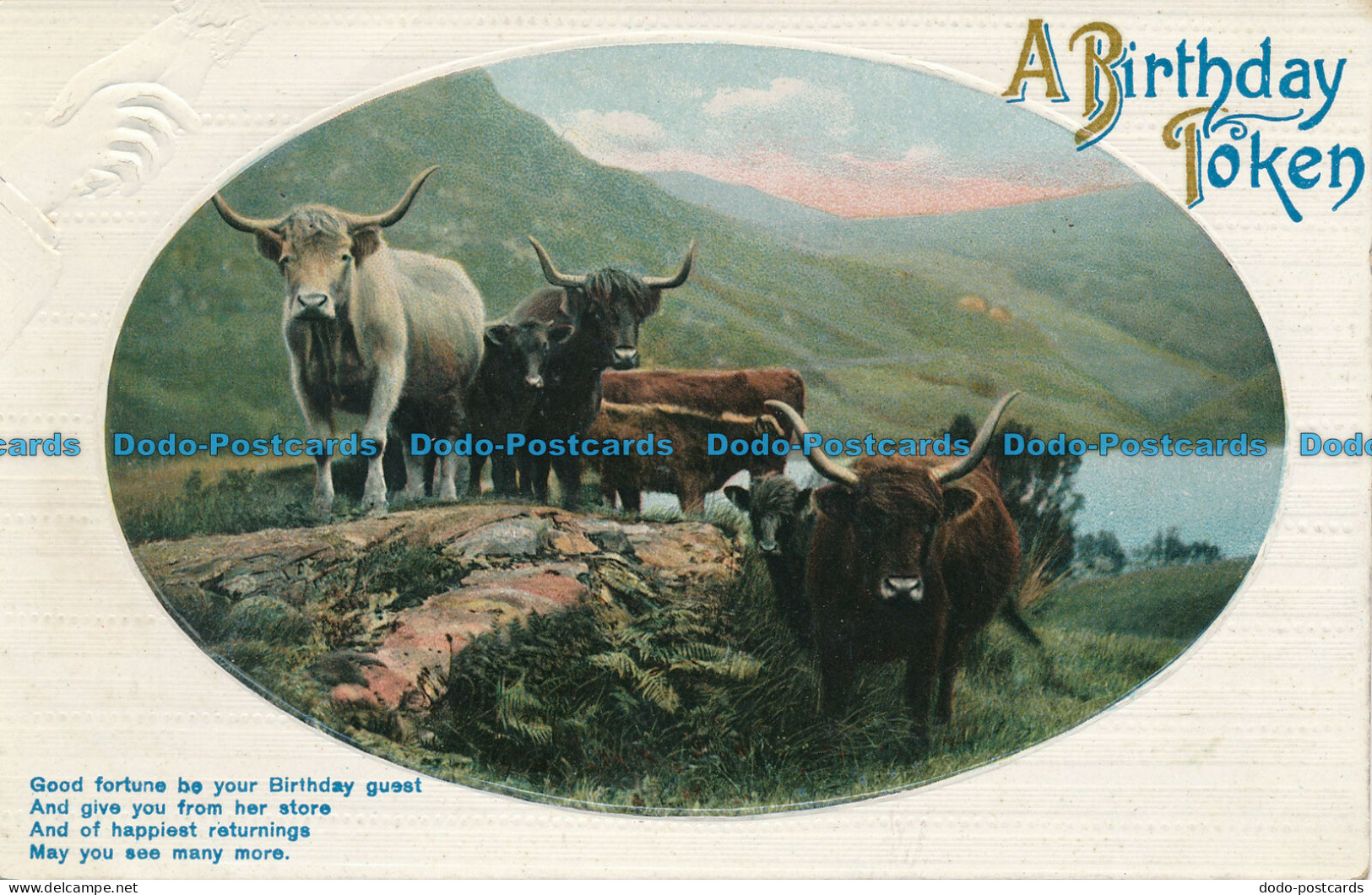 R110966 Greeting Postcard. A Birthday Token. Bulls - Welt