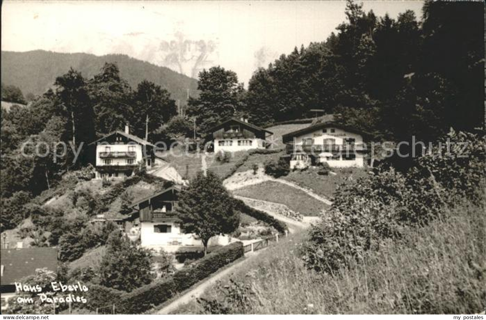 72187564 Tegernsee Haus Eberle Am Paradies Tegernsee - Tegernsee