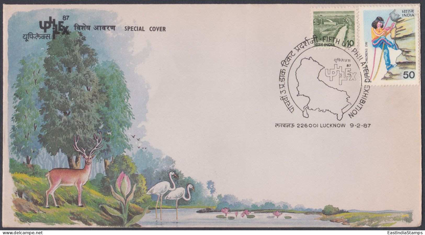 Inde India 1987 Special Cover Ashoka Tree, Swamp Deer, Flower, Crane, Bird, Birds, Wildlife Wild Life Pictorial Postmark - Lettres & Documents