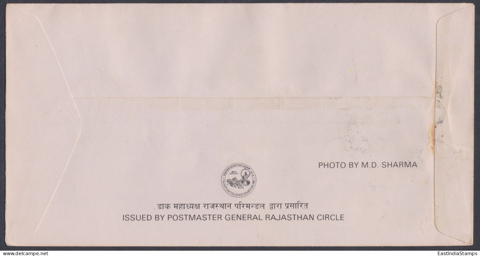 Inde India 1988 Special Cover Elephant Polo, Sport, Sports, Elephants, Horse Emblem, Horses, Pictorial Postmark - Covers & Documents