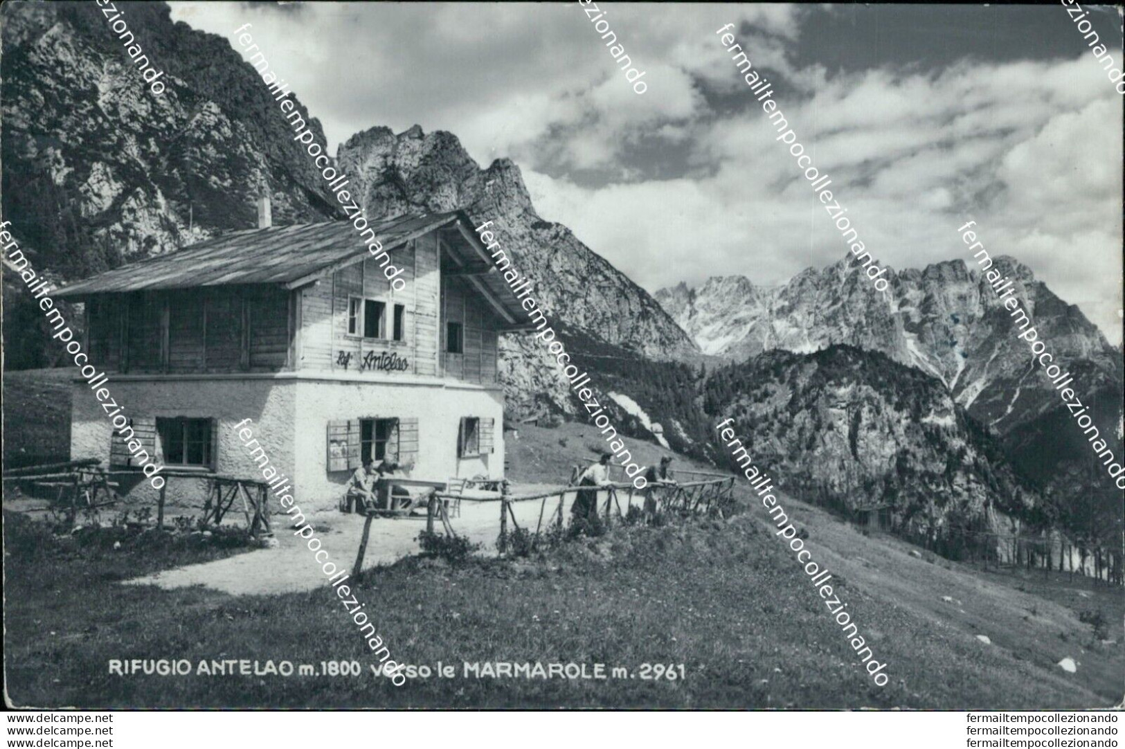 Bu344 Cartolina Rifugio Antelao Verso Le Marmarole Rifilata Belluno Veneto - Belluno