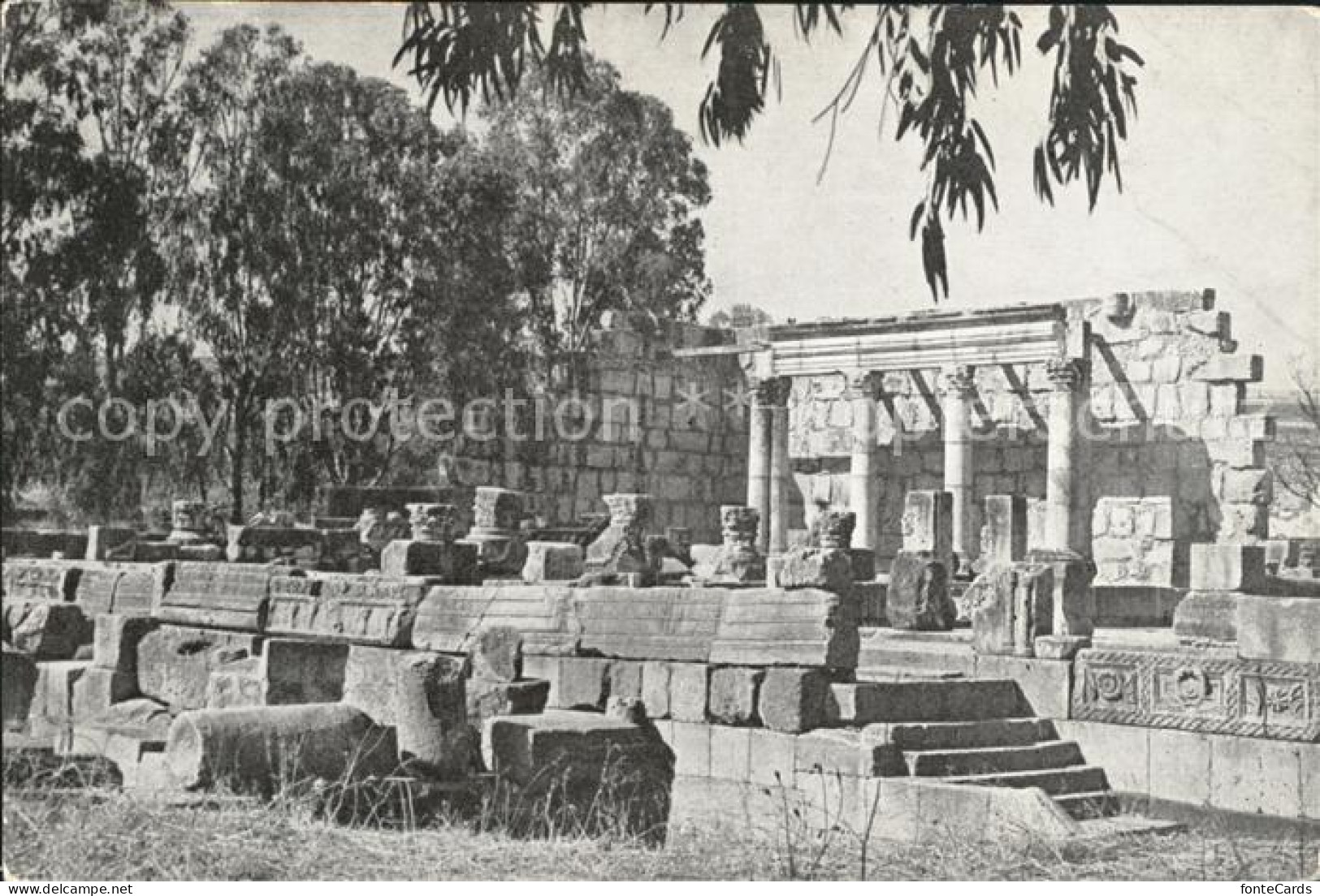 71835008 Kfar Nahum Partly Restored Synagogue Ruinen Antike Kfar Nahum - Israel