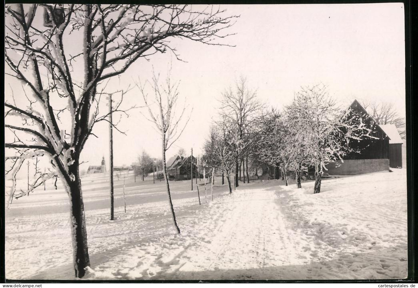 Fotografie Brück & Sohn Meissen, Ansicht Schellerhau I. Erzg., Blick Entlang Der Dorfstrasse Im Winter  - Orte