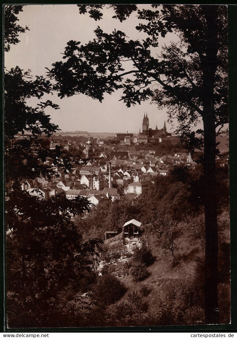 Fotografie Brück & Sohn Meissen, Ansicht Meissen I. Sa., Blick Vom Stadtpark Auf Die Stadt  - Orte