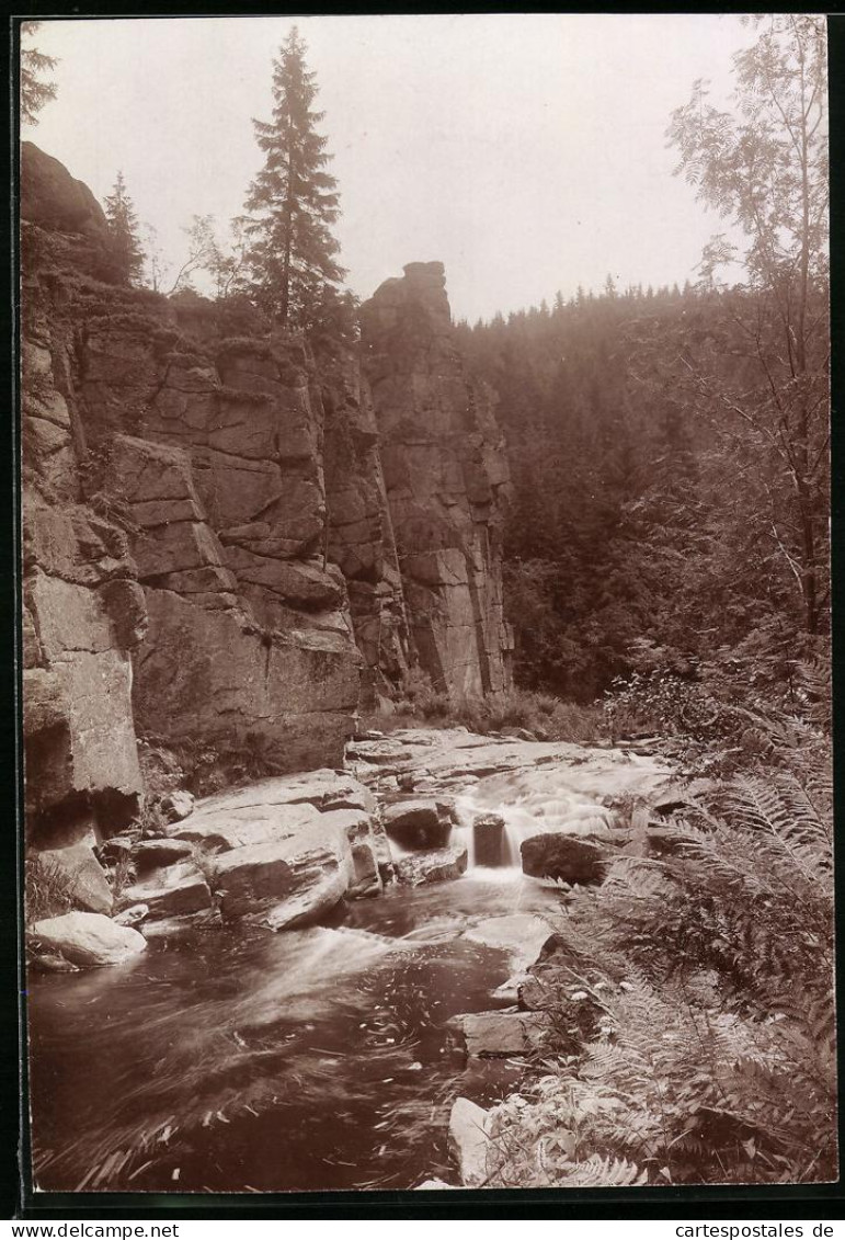 Fotografie Brück & Sohn Meissen, Ansicht Marienberg I. Sa., Partie An Der Teufelsmauer Im Schwarzwassertal  - Luoghi