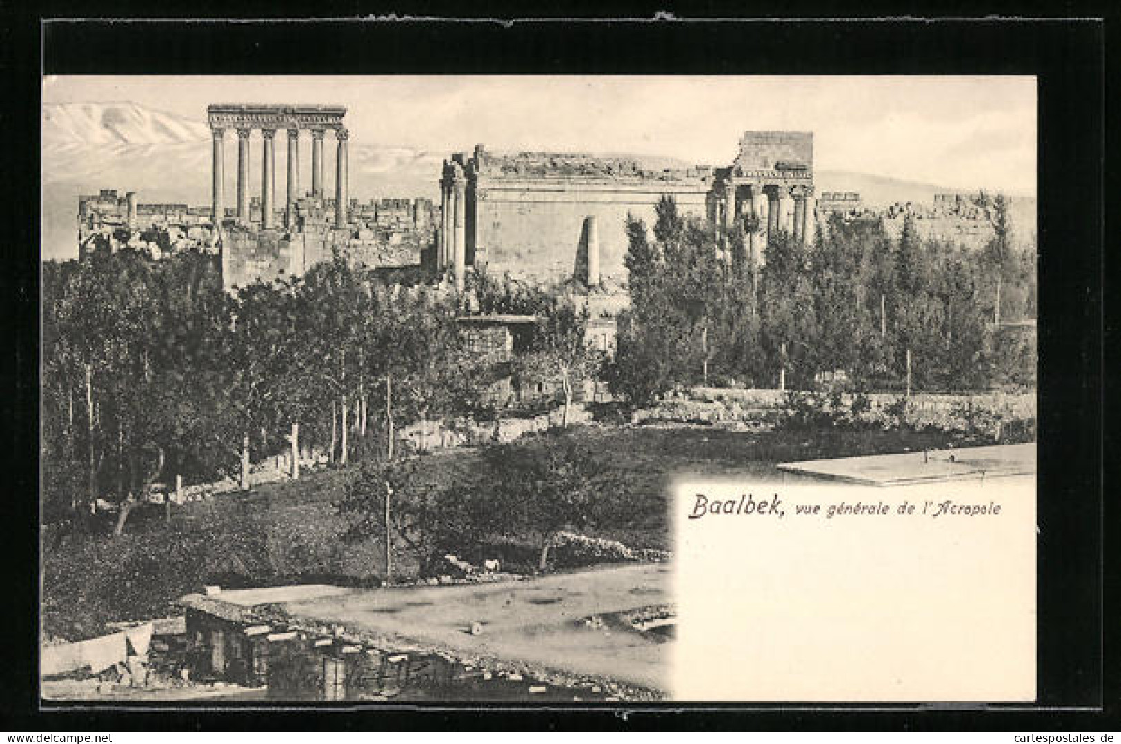 AK Baalbek, Vue Generale De L'Acropole  - Líbano