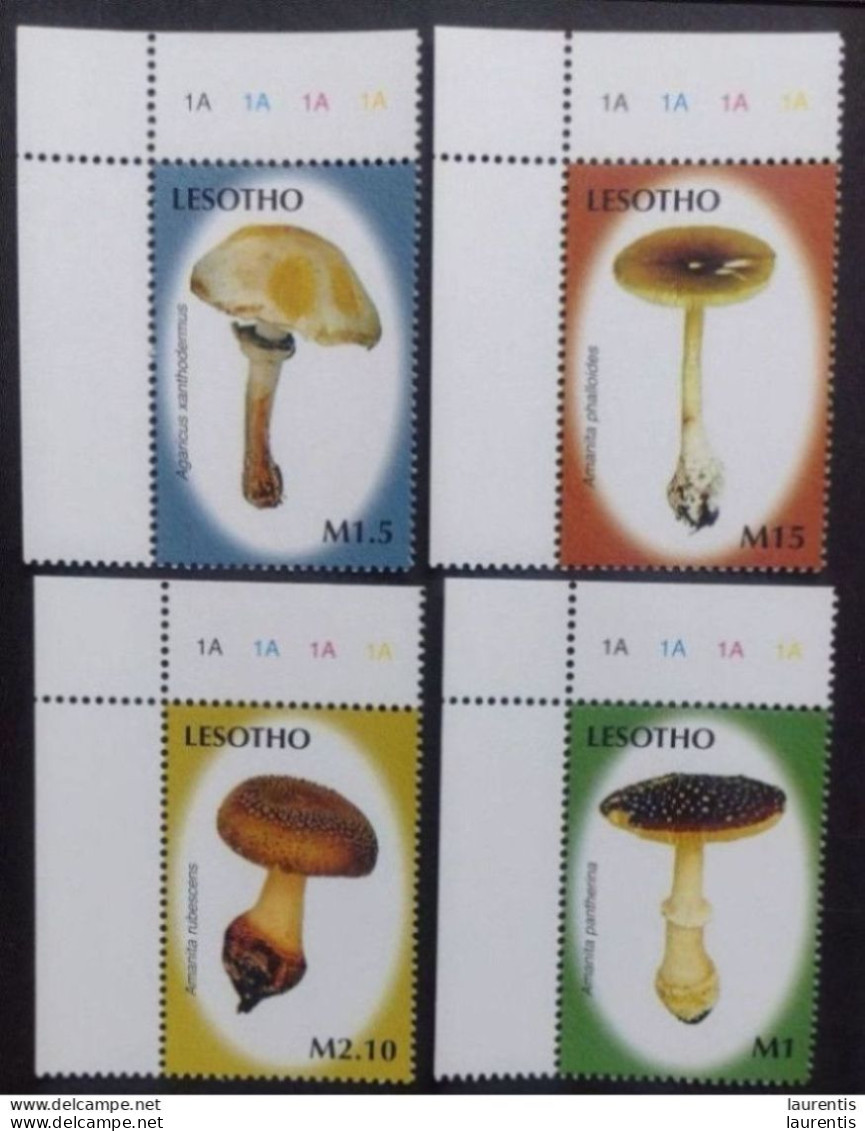 D633. Mushrooms - Lesotho Yv 1876-79 MNH - 1,85 - Pilze