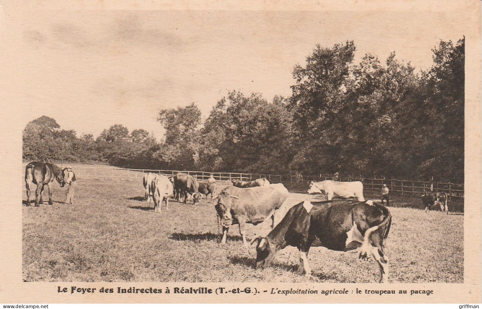 REALVILLE LE FOYER DES INDIRECTES L'EXPLOITATION AGRICOLE LE TROUPEAU AU PACAGE TBE - Realville